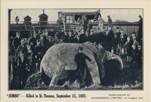 pages-14-16-elephants-figure-08-death-of-jumbo