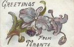 Toronto greetings postcard embossed floral